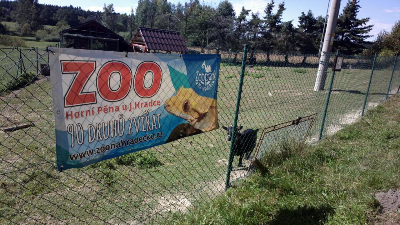 Penzion Lada Nová Bystřice Exteriör bild